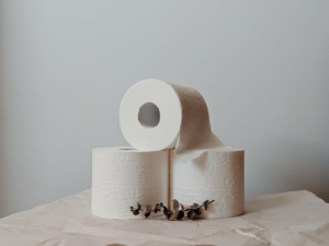 Papier toilette biodégradable : privilégier une approche écologique